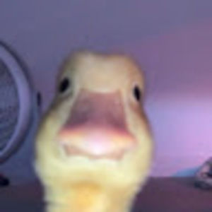 Meet your Posher, Jurney